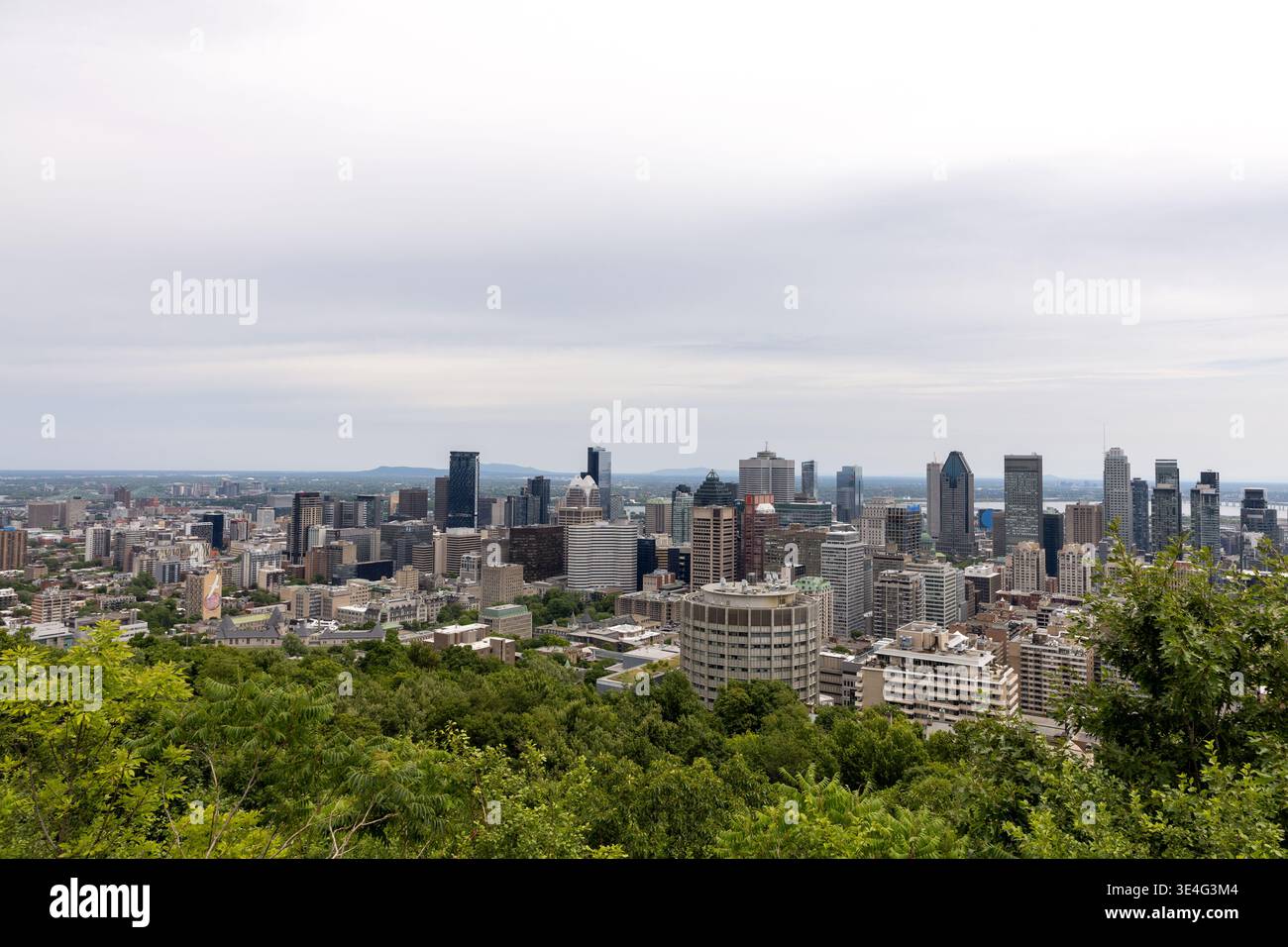 Montreal, Kanada - 5. Juli 2025: Panoramablick auf Montreal, Skyline im Sommer. Stockfoto