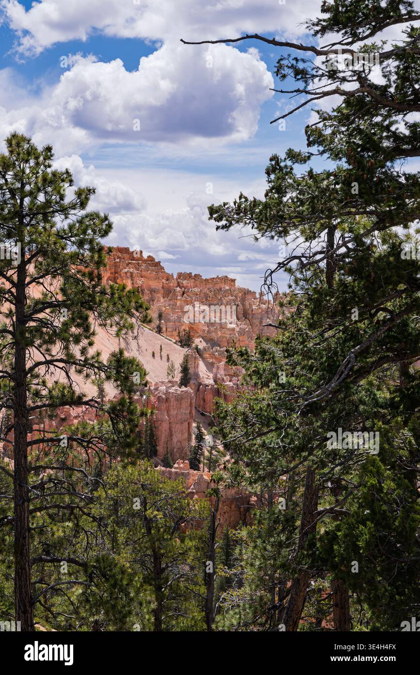 Das zerklüftete Gelände und die endlose Aussicht auf den Bryce Canyon National Park im Süden Utahs Stockfoto