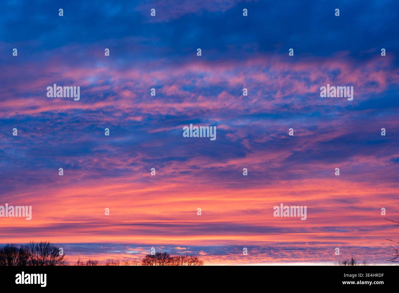 Ein atemberaubender Himmel bei Sonnenuntergang, gefüllt mit dramatischen Wolken in leuchtendem Orange, Rosa und tiefem Blau über einem dunklen Baum Silhouette Horizont. Stockfoto