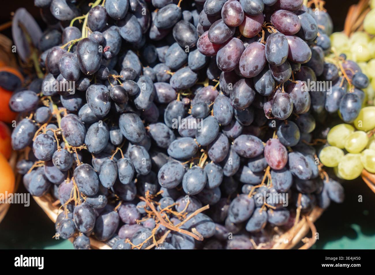 Frische schwarze Trauben werden zum Verkauf angeboten. Natürliche Textur und lebendige Farben machen dieses Bild perfekt für Werbung für landwirtschaftliche Erzeugnisse und Bio-Lebensmittel Stockfoto