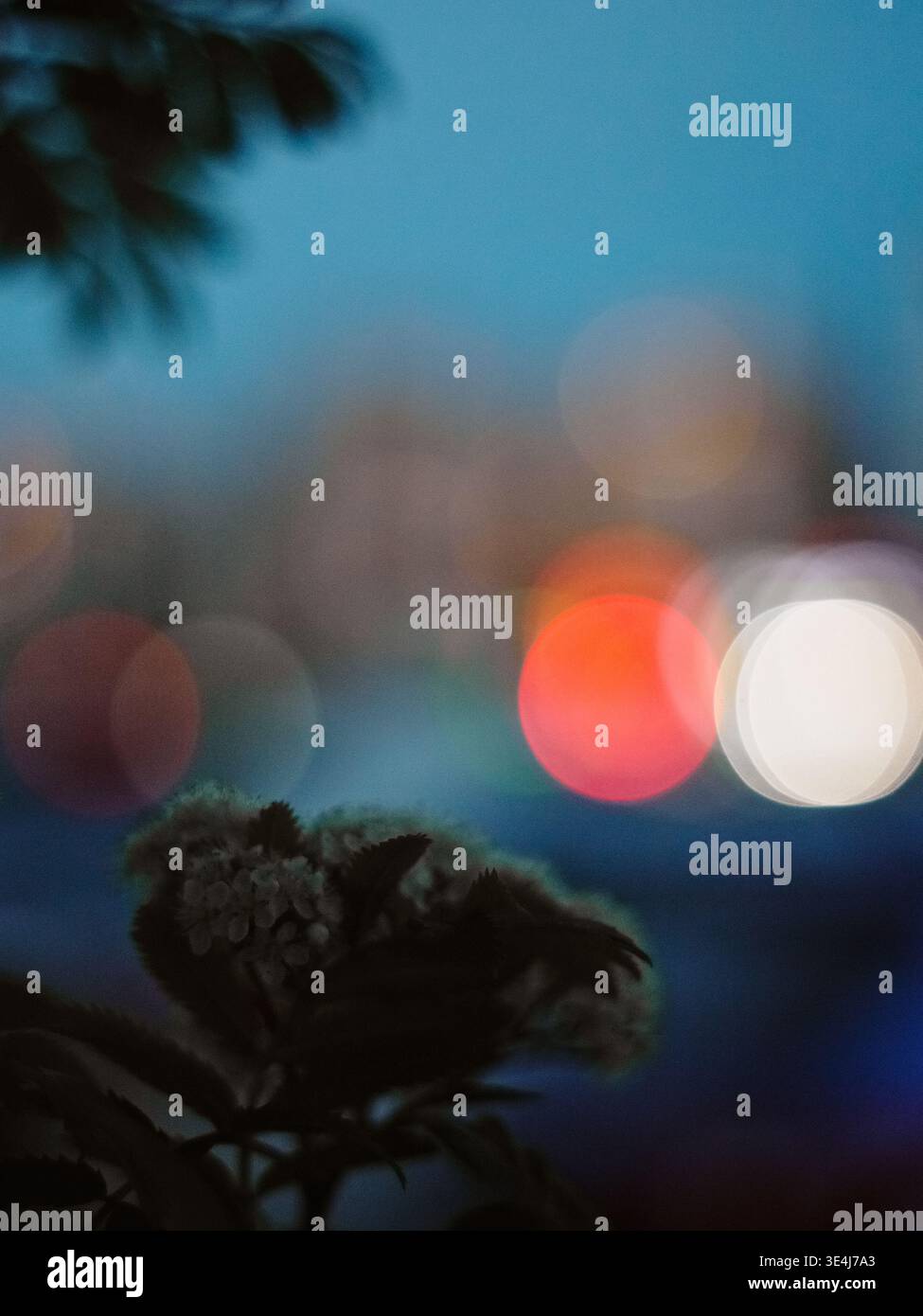 Traumhaftes abstraktes Foto von Dämmerungslichtern in der Stadt mit sanftem Bokeh und Bewegungsunschärfe, mit dunklen Pflanzensilhouetten im Vordergrund und farbenfroher Unschärfe Stockfoto