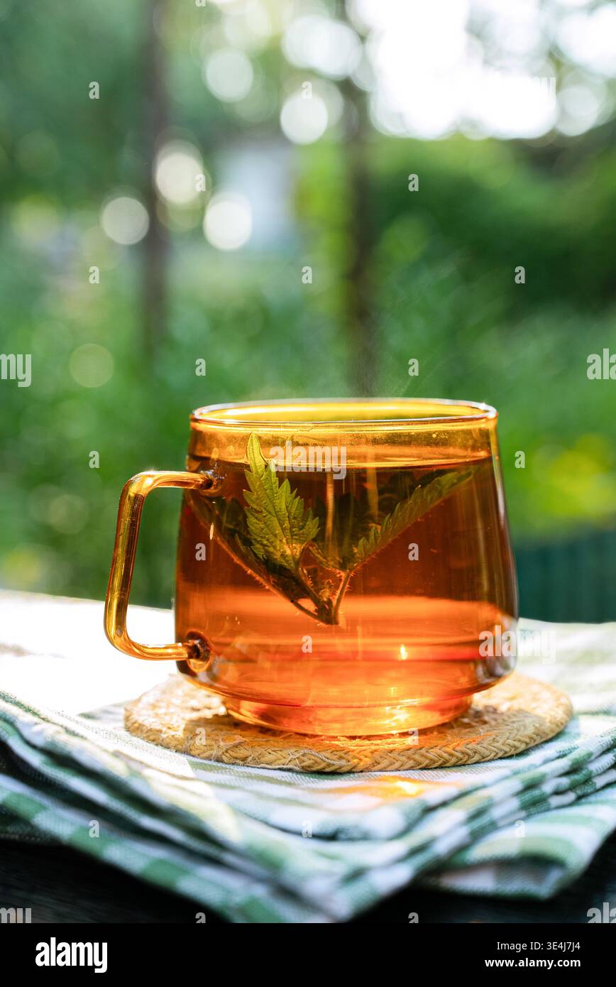 Warmer Kräuter-Detox-Tee in einem klaren Glasbecher mit frischer Pfefferminze, im Freien bei weichem Sonnenlicht. Beruhigendes Naturpflegekonzept für Wellness, Harnwege Su Stockfoto