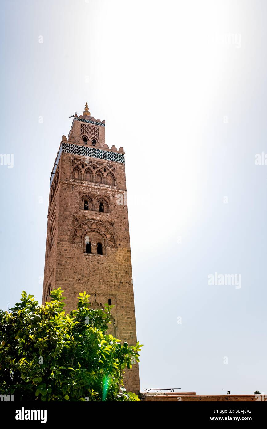 Sonnendurchflutetes marokkanisches Minarett erhebt sich über grünes Laub und zeigt komplizierte Steinschnitzereien und traditionelle geometrische Muster, ein markantes Wahrzeichen von Moro Stockfoto