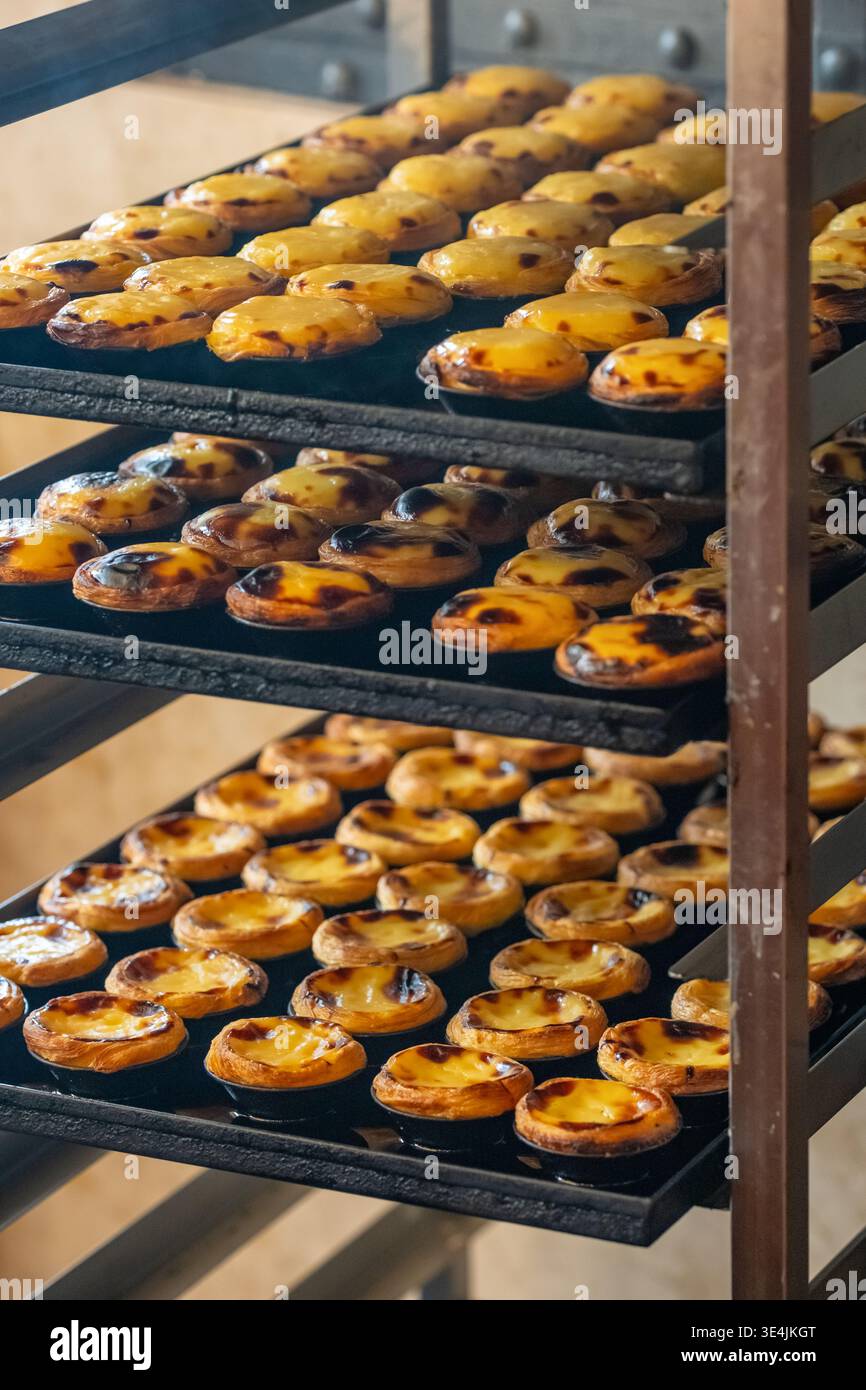 Frisch gebackene Pastel de Nata Tarts auf Kühlregalen in der Bäckerei Stockfoto