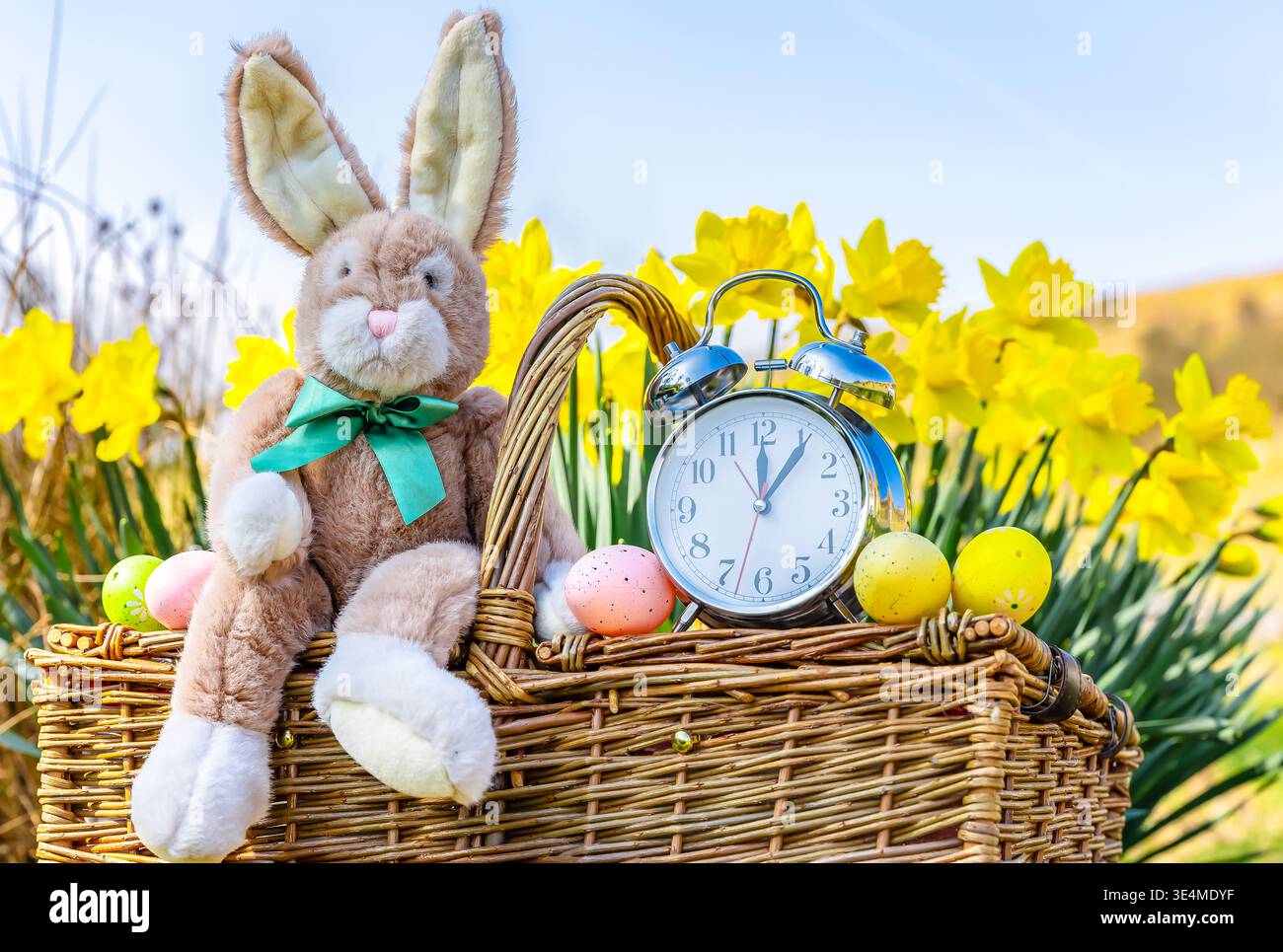 Die Uhren gehen im Frühling mit Osterhasen, der auf einem traditionellen Picknickkorb mit Wecker sitzt, Ostereiern und Narzissen Hintergrund. Stockfoto
