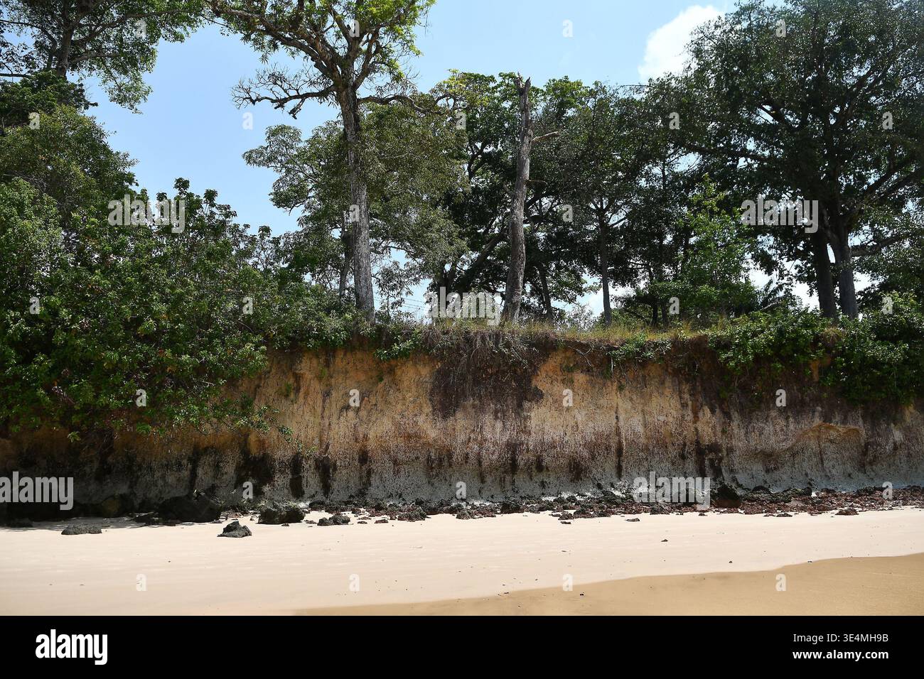 Belém, Brasilien, 19. November 2026. Küste und Vegetation des Funda-Strandes auf der Insel Cotijuba im Bundesstaat Pará in der nördlichen Region Brasiliens. Stockfoto