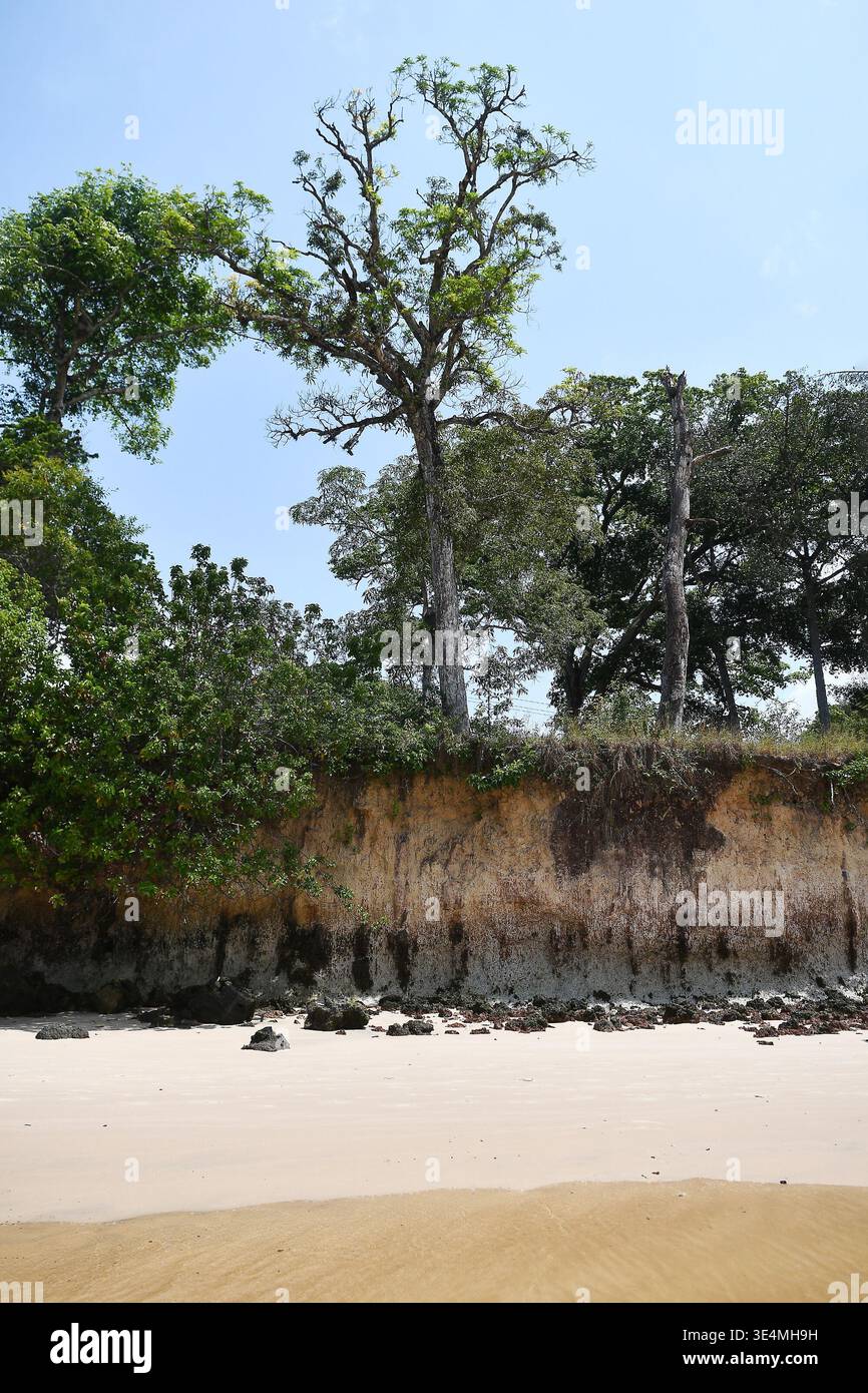 Belém, Brasilien, 19. November 2026. Küste und Vegetation des Funda-Strandes auf der Insel Cotijuba im Bundesstaat Pará in der nördlichen Region Brasiliens. Stockfoto