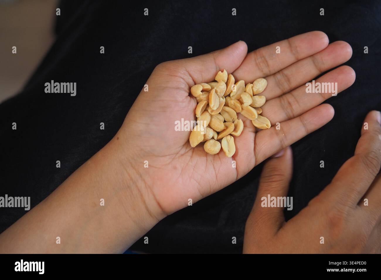 Hand hält Erdnüsse mit Schale auf schwarzer Oberfläche Stockfoto