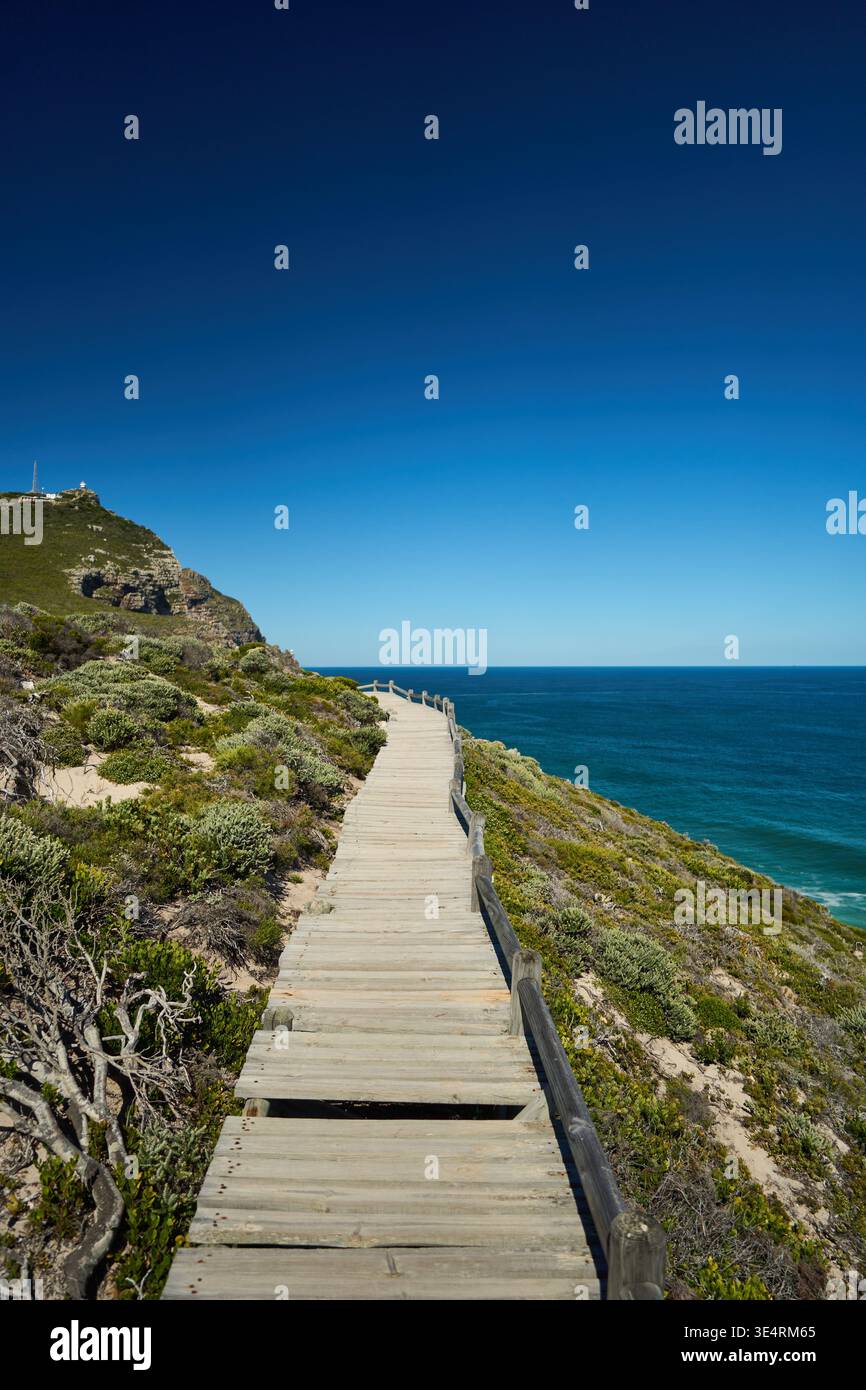 Der Rustikale Boardwalk Schlängelt Sich Durch Die Küstenflora Und Bietet Eine Malerische Aussicht Für Outdoor-Enthusiasten Stockfoto