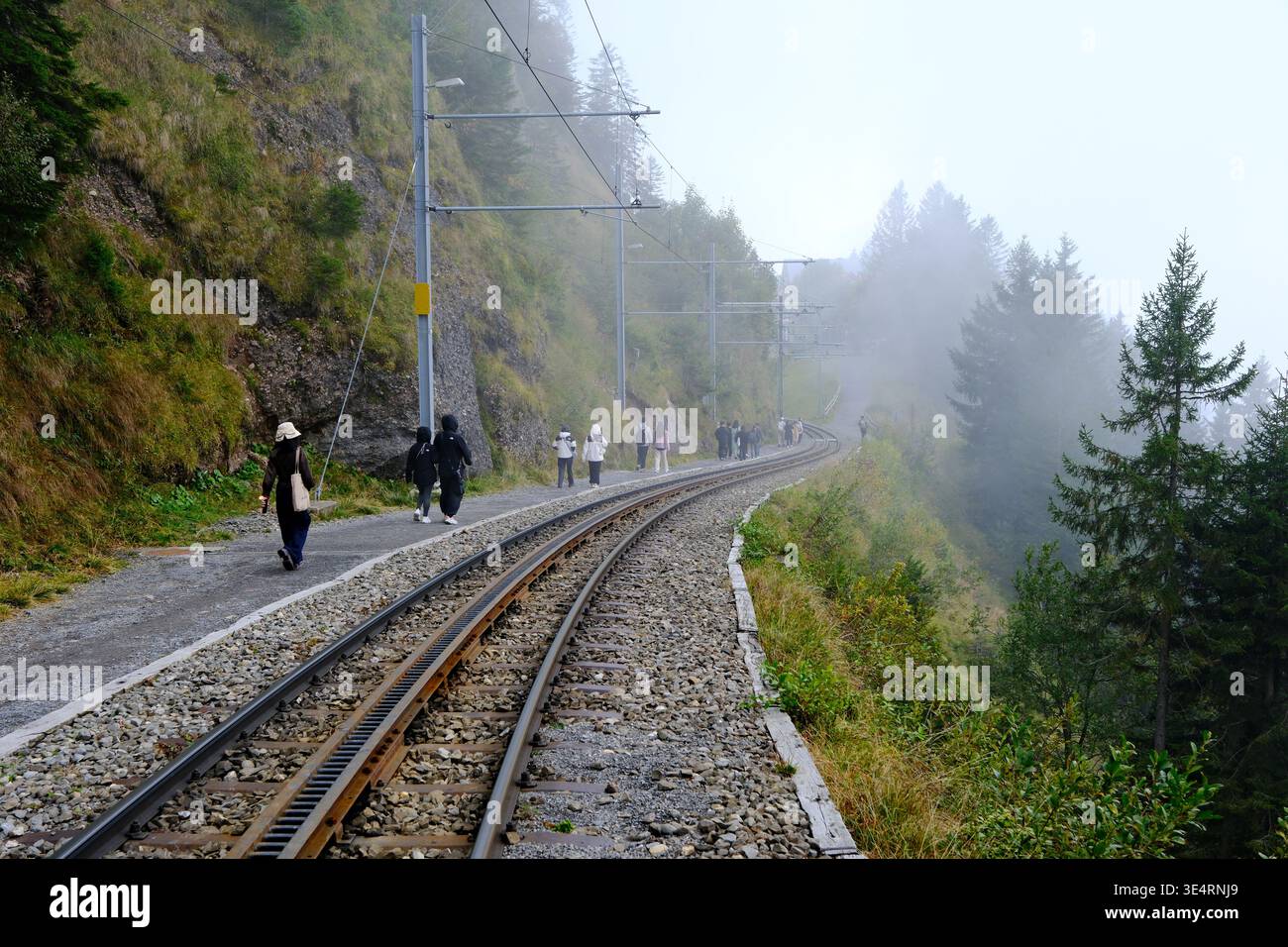 Schwyz, Schweiz-30. September 2025: Rigi Zahnradbahn kurvt entlang des Berges, mit einer Gruppe von Wanderern, die neben Schienen im Nebel laufen Stockfoto