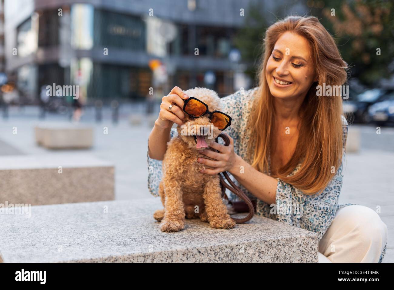 Stilvoller Hund in coolen Farben posiert auf einer Bank neben dem Besitzer. Lustige und trendige Tiermomente in der Stadt. Perfekt für Tiermode oder Tierleben Stockfoto