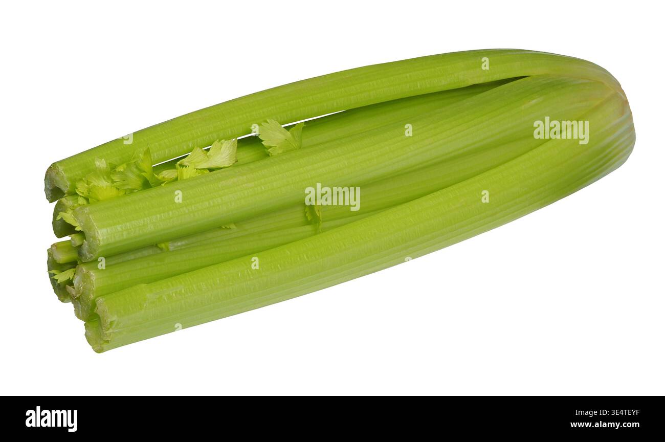 Frische Selleriehalme auf weißem Hintergrund Stockfoto
