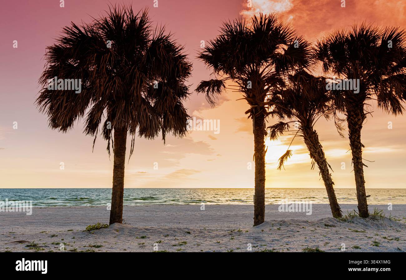 Sonnenuntergang mit Palmen auf weißem Sand am Wiggins Pass Beach, Delnor-Wiggins Pass State Park, Neapel, Florida, USA Stockfoto