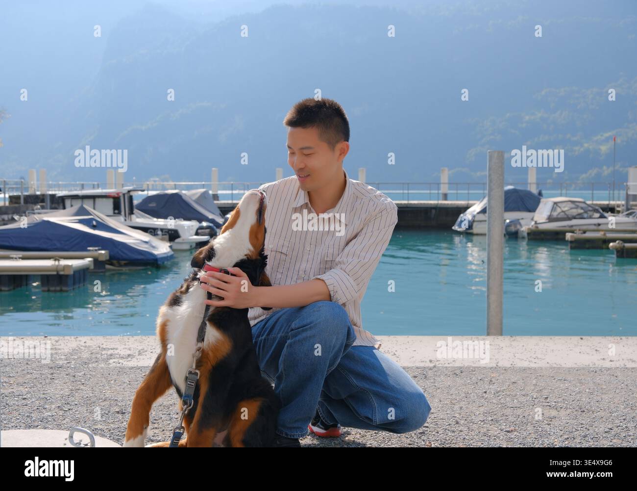 Asiatischer Mann hockt, um einen Berner Sennenhund an einem Seeufer in der Schweiz zu streicheln Stockfoto