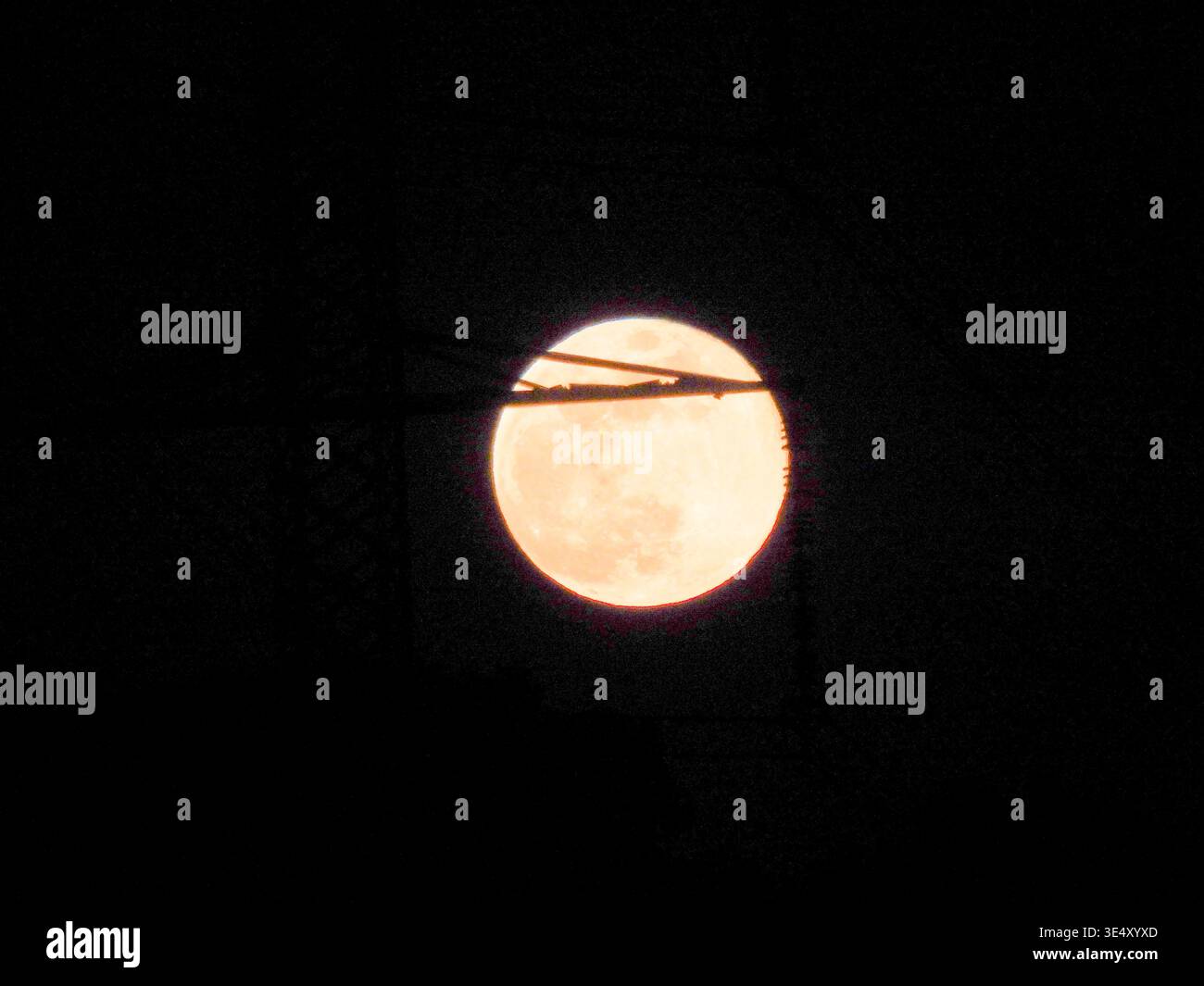Orangefarbener Vollmond, der hell am dunklen Nachthimmel leuchtet und seine himmlische Schönheit und strukturierte Oberfläche präsentiert, ein Leuchtfeuer im riesigen Universum Stockfoto