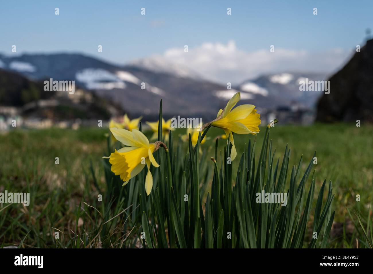 Eingeschneite Berge und frühlingshafte Täler. Wetterumschwung und Kälteeinbruch im Frühling in der Stadt Salzburg am 27.03.2026. // schneebedeckte Berge und frühlingshafte Täler. Wetterwechsel und Kälteeinbruch im Frühjahr in Salzburg am 27. März 2026. - 20260327 PD12291 Stockfoto