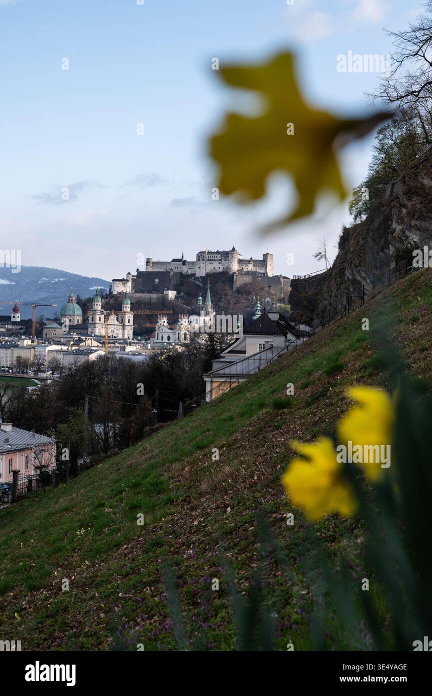 Blick auf die Festung Hohensalzburg mit eingeschneiten Bergen am Horizont am 27.03.2026. // Blick auf die Festung Hohensalzburg mit schneebedeckten Bergen am Horizont am 27. März 2026. - 20260327 PD12284 Stockfoto