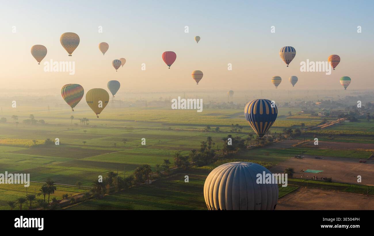 Dichte Gruppe von bunten Heißluftballons, die bei Sonnenaufgang über üppige grüne Felder und Palmen in Luxor, Ägypten, schweben Stockfoto