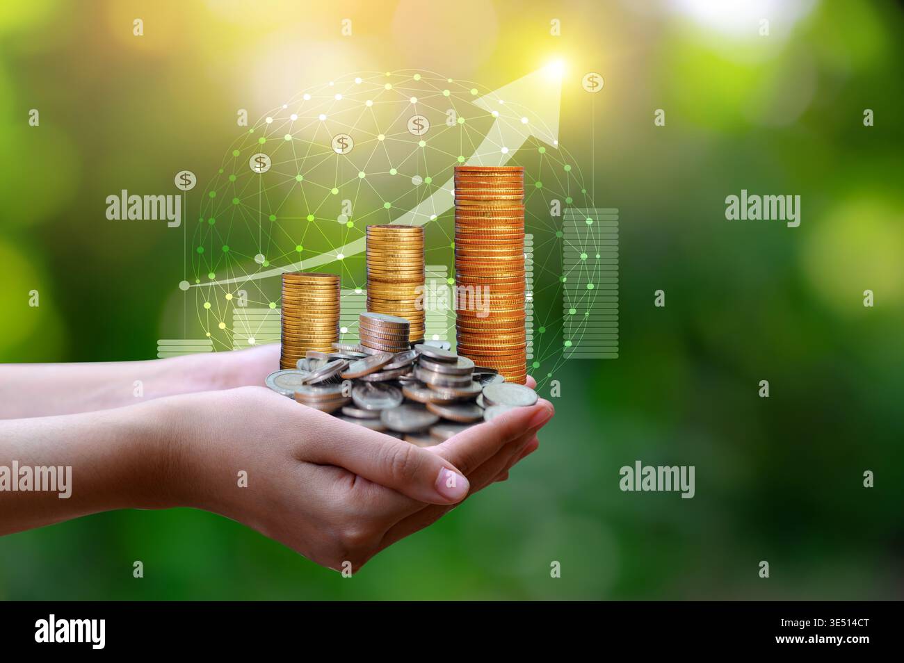 Nahaufnahme von Händen mit gestapelten Goldmünzen mit Wachstumsdiagramm und globalem Netzwerk auf grünem Bokeh-Hintergrund. Stockfoto
