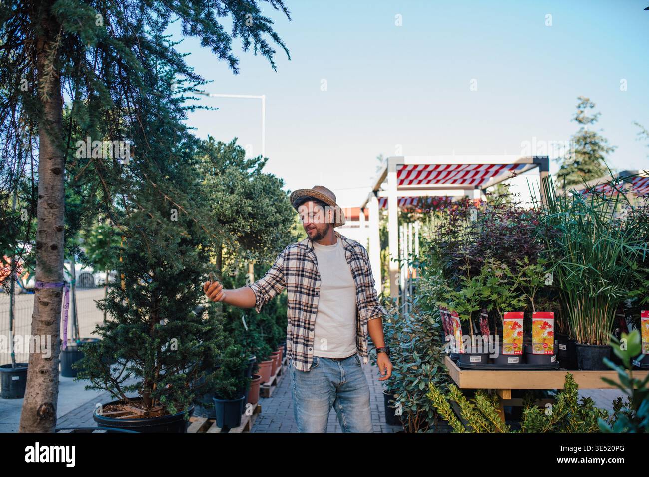 Mitarbeiter im Gartengeschäft, der sich um Pflanzen kümmert. Stockfoto