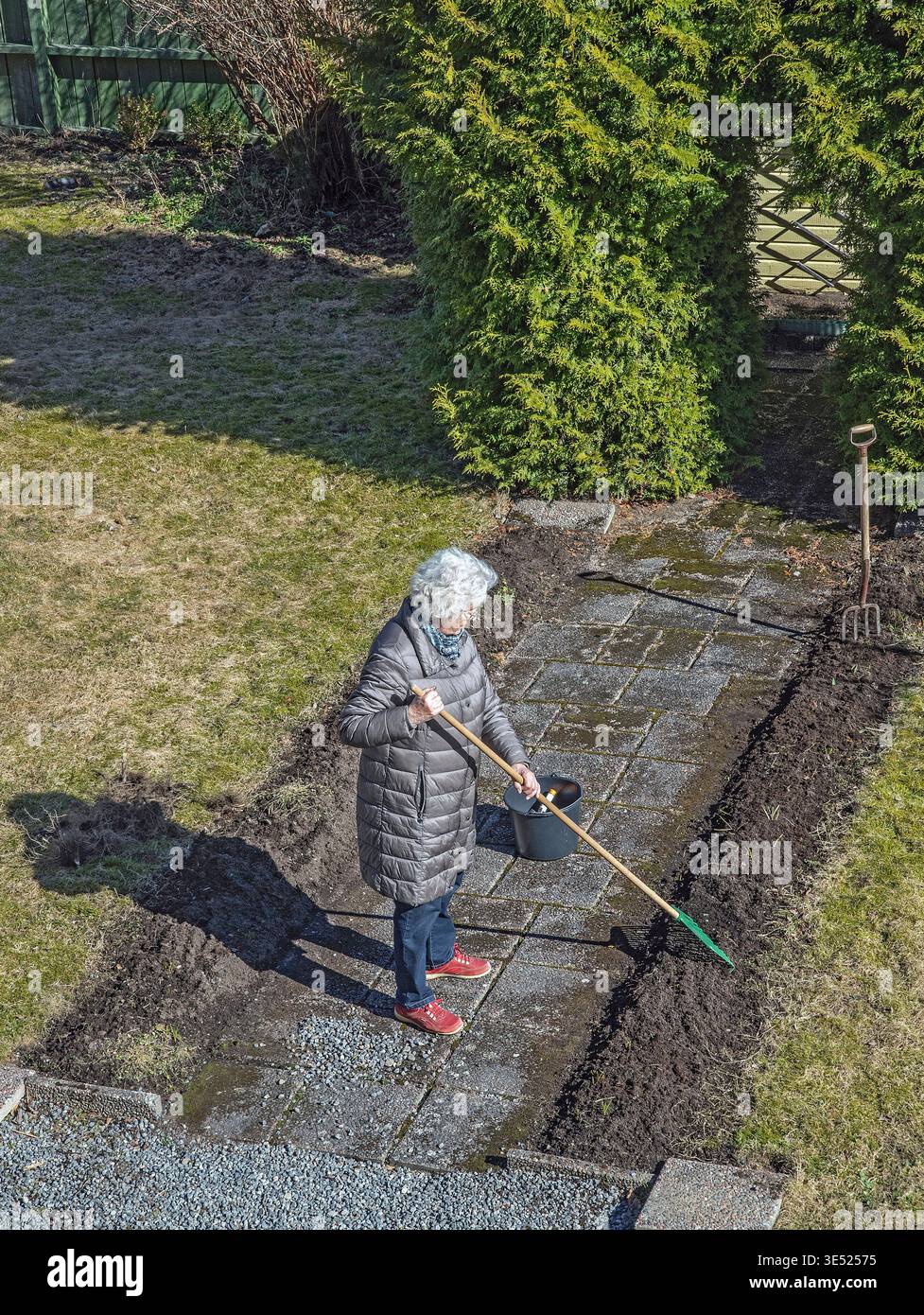 Eine ältere Frau, die die Oberfläche eines Hochbeetes glättet, das sie für das Pflanzen in ihrem Garten vorbereitet. Stockfoto