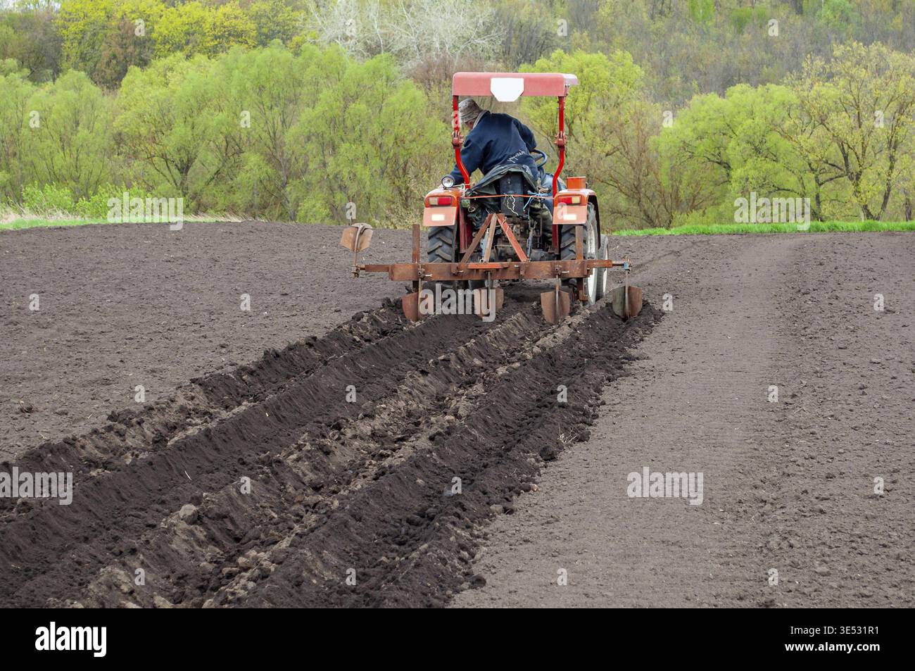 Kartoffeln mit einem kompakten Traktor ernten. Landmaschinen Stockfoto