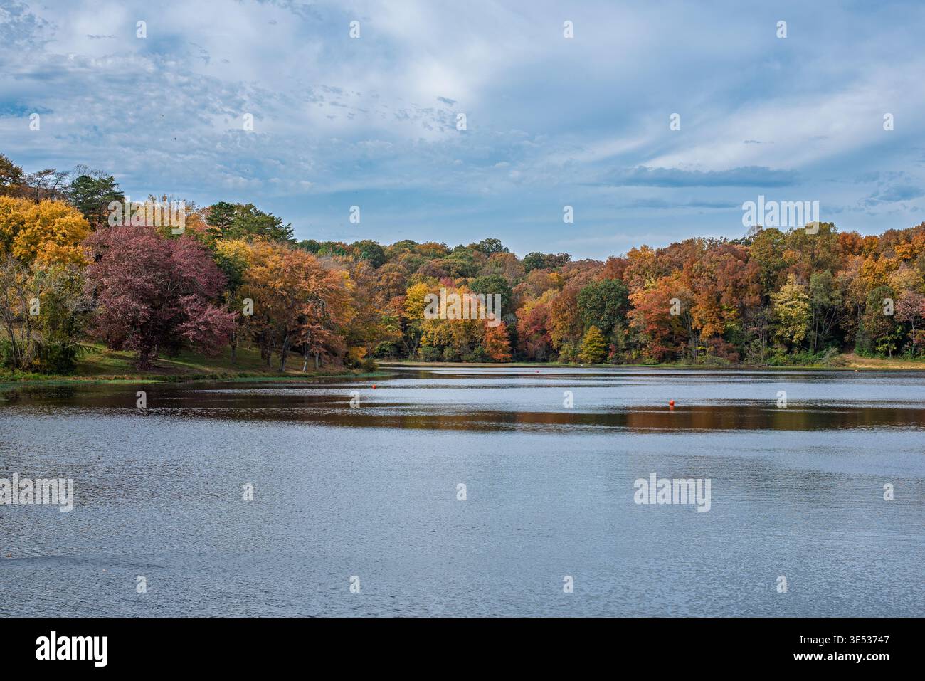 Eine ruhige Herbstszene in Reston, Virginia, wo sich der Lake Fairfax durch einen Park schlängelt, der von lebhaften Herbstlaub umgeben ist. Stockfoto