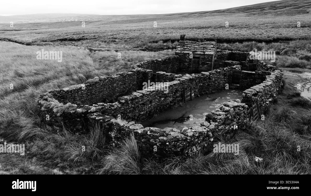 Die monotone Luftperspektive aufgetretener Schaffalten in der Landschaft Stockfoto