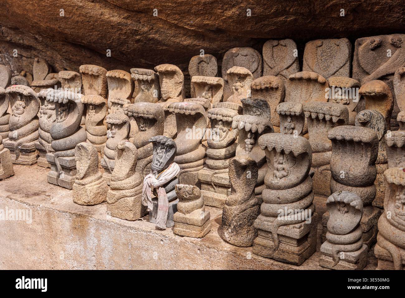 Indien, Tamil Nadu, Chettinad, Thirumayam, Thirumayam Fort Stockfoto