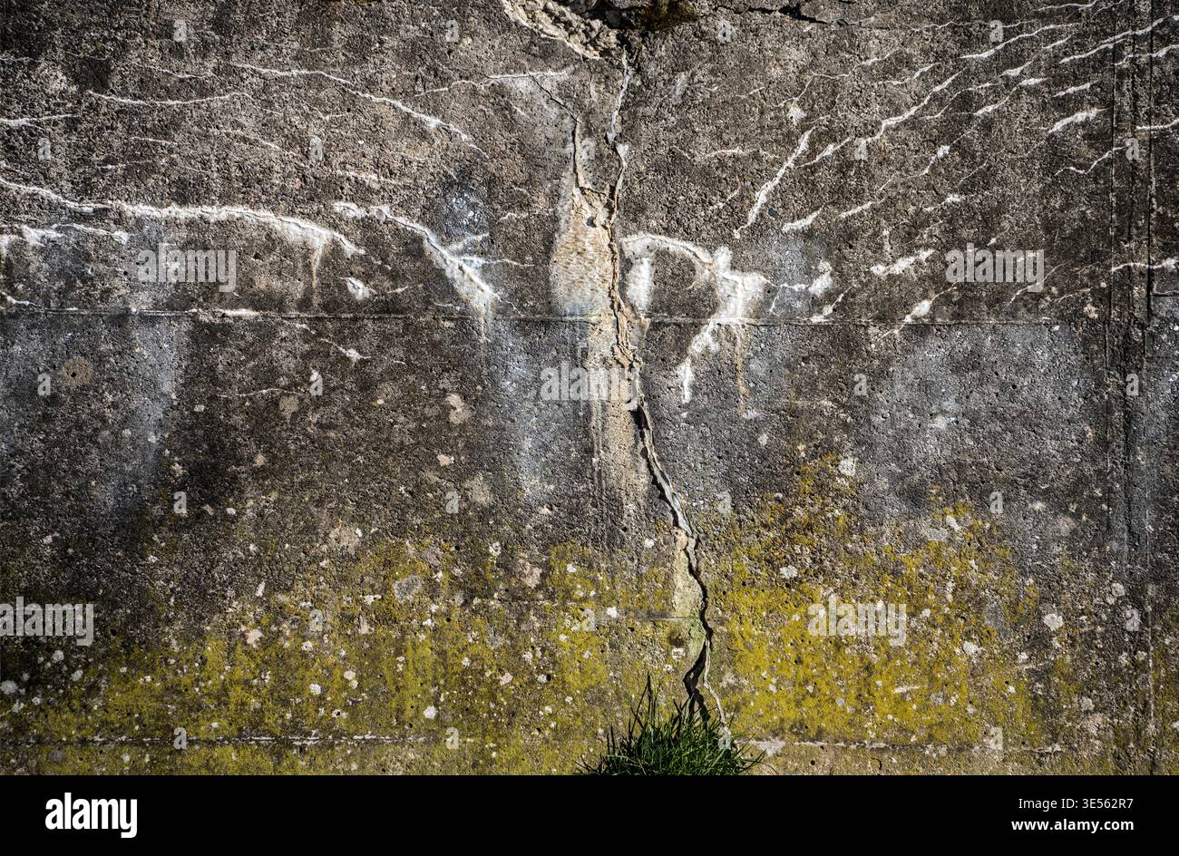 Alte Betonwand mit Rissen, Strukturen und grünem Moos Stockfoto
