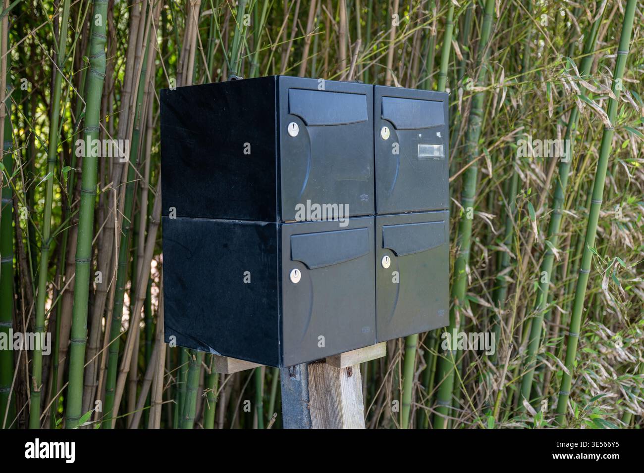 Schwarze Postfacheinheit für den Außenbereich mit mehreren Fächern, die auf Holzpfosten in der Nähe von Bambuszaun installiert sind Stockfoto