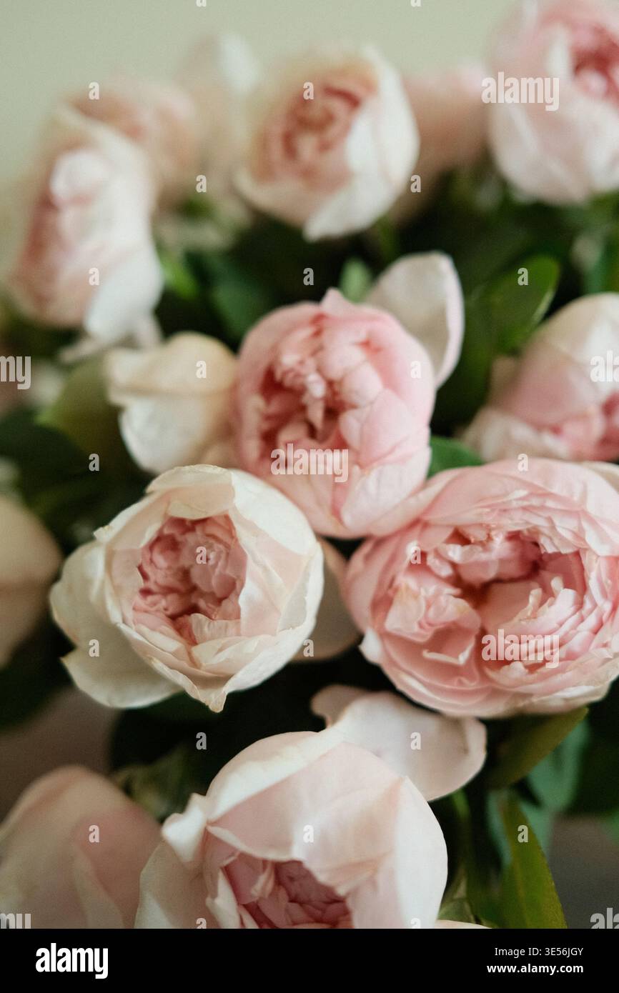 Wunderschönes Rosenblumen-Arrangement, romantisches Rosenstrauß-Konzept, Blumenstrauß von Rosen femininer Ästhetik Stockfoto