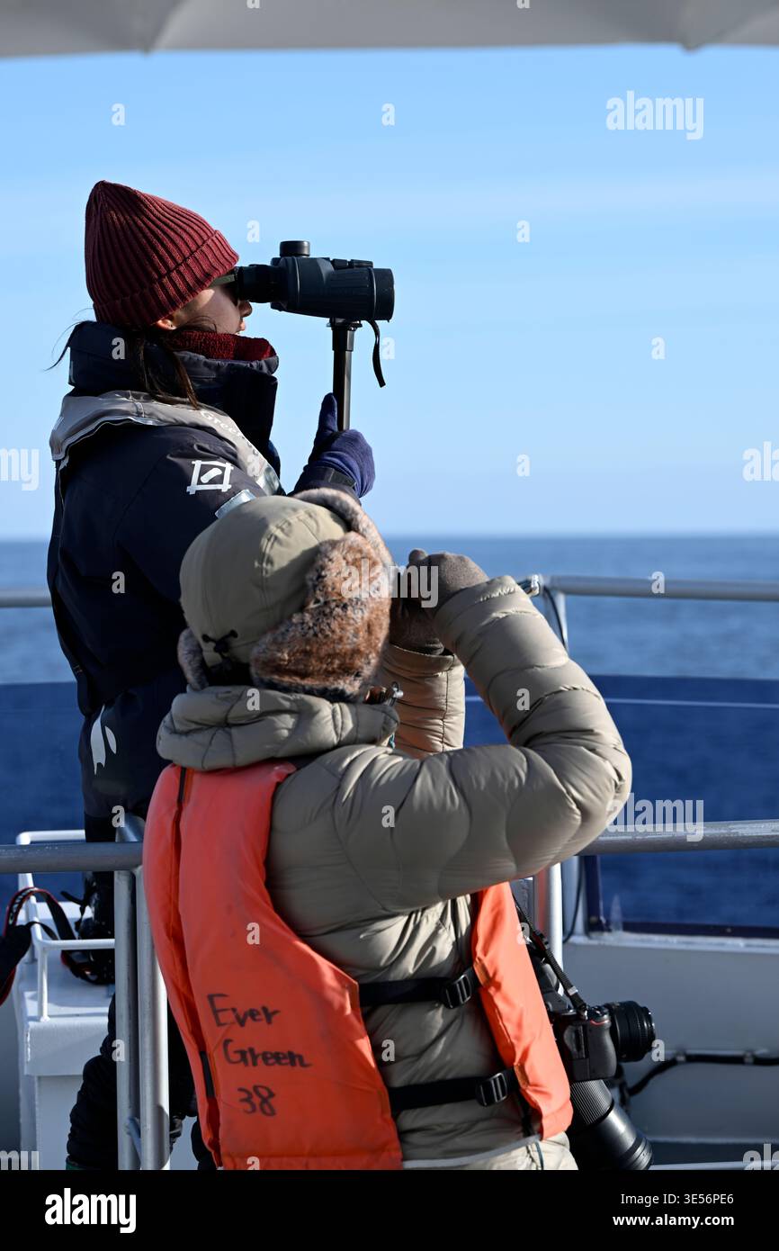 Eine Frau beobachtet Vögel auf dem Boot in Rausu, Shiretoko Halbinsel, Japan. Stockfoto