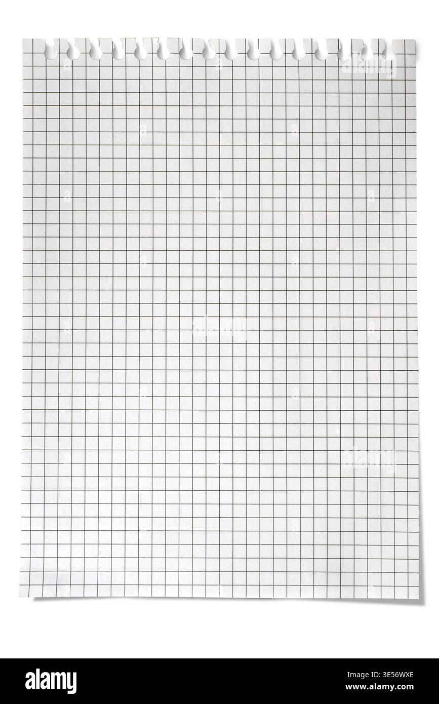 Blatt quadratisches Papier, das aus einem spiralgebundenen Notizbuch gerissen wurde, isoliert auf weiß mit Beschneidungspfad. Grafikressource Stockfoto