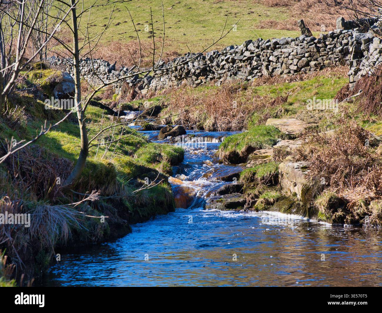 Ein klarer ländlicher Bach schlängelt sich durch Wintergras und Felsen neben einer trockenen Steinmauer in Yorkshire, Großbritannien, mit hellem Sonnenlicht und einer klaren Landschaft Stockfoto