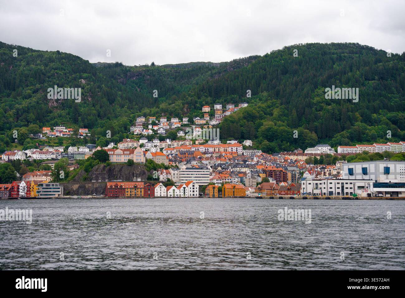 Bergen, Norwegen - 9. Juli 2024: Farbenfrohe Hügellandhäuser und Gebäude am Wasser unter grünem Wald Stockfoto