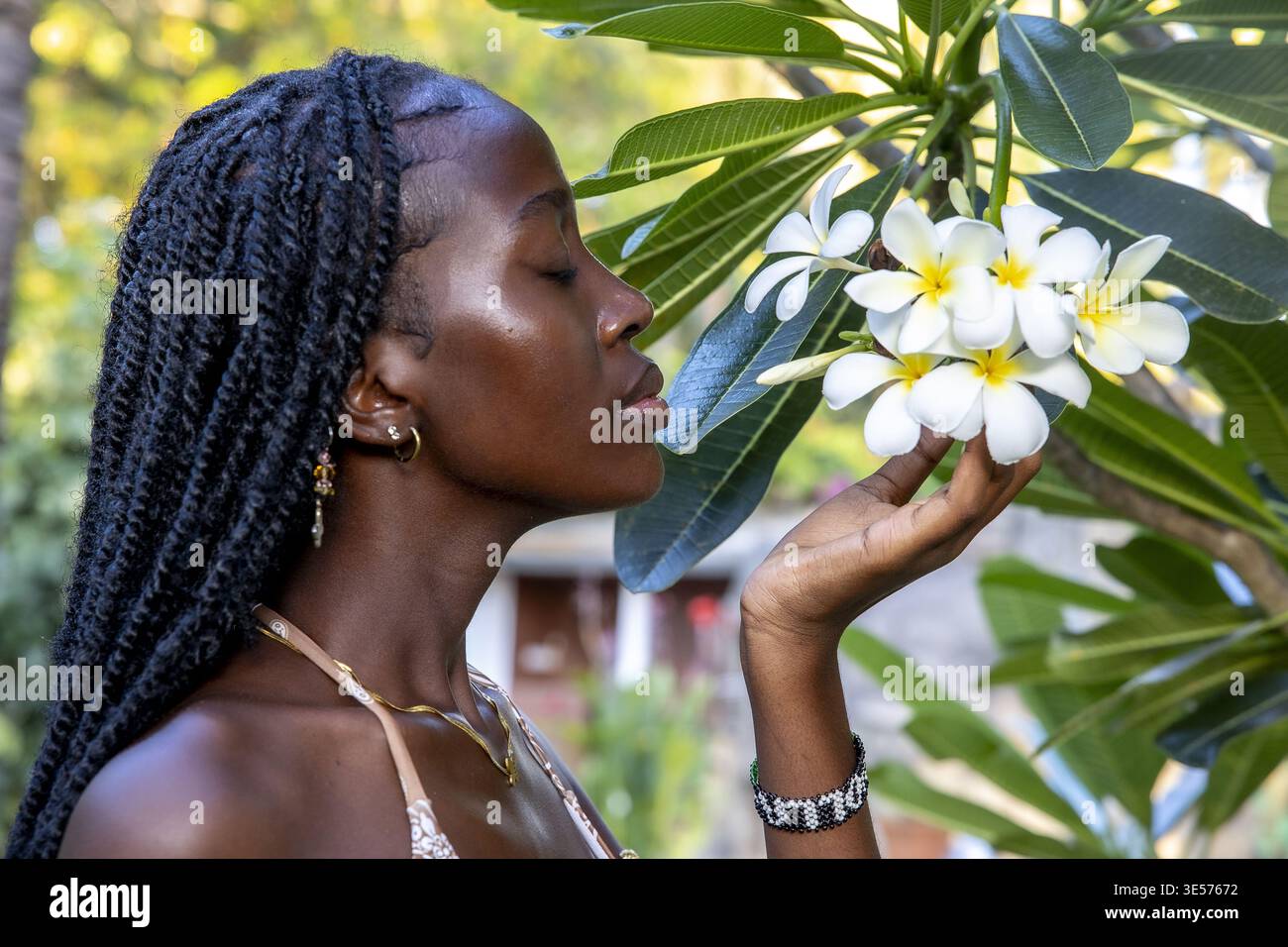 Junge Frau, die eine Frangipani-Blume riecht, Kilifi, Kenia Stockfoto