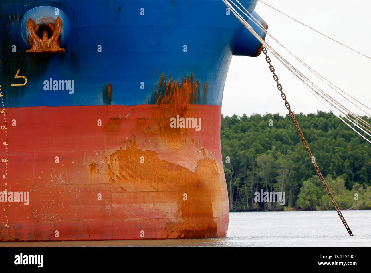 Der rostige Bug eines großen blau-roten Frachtschiffes vor Anker an einem grünen Flussufer. Vung Tau. Vietnam. Stockfoto
