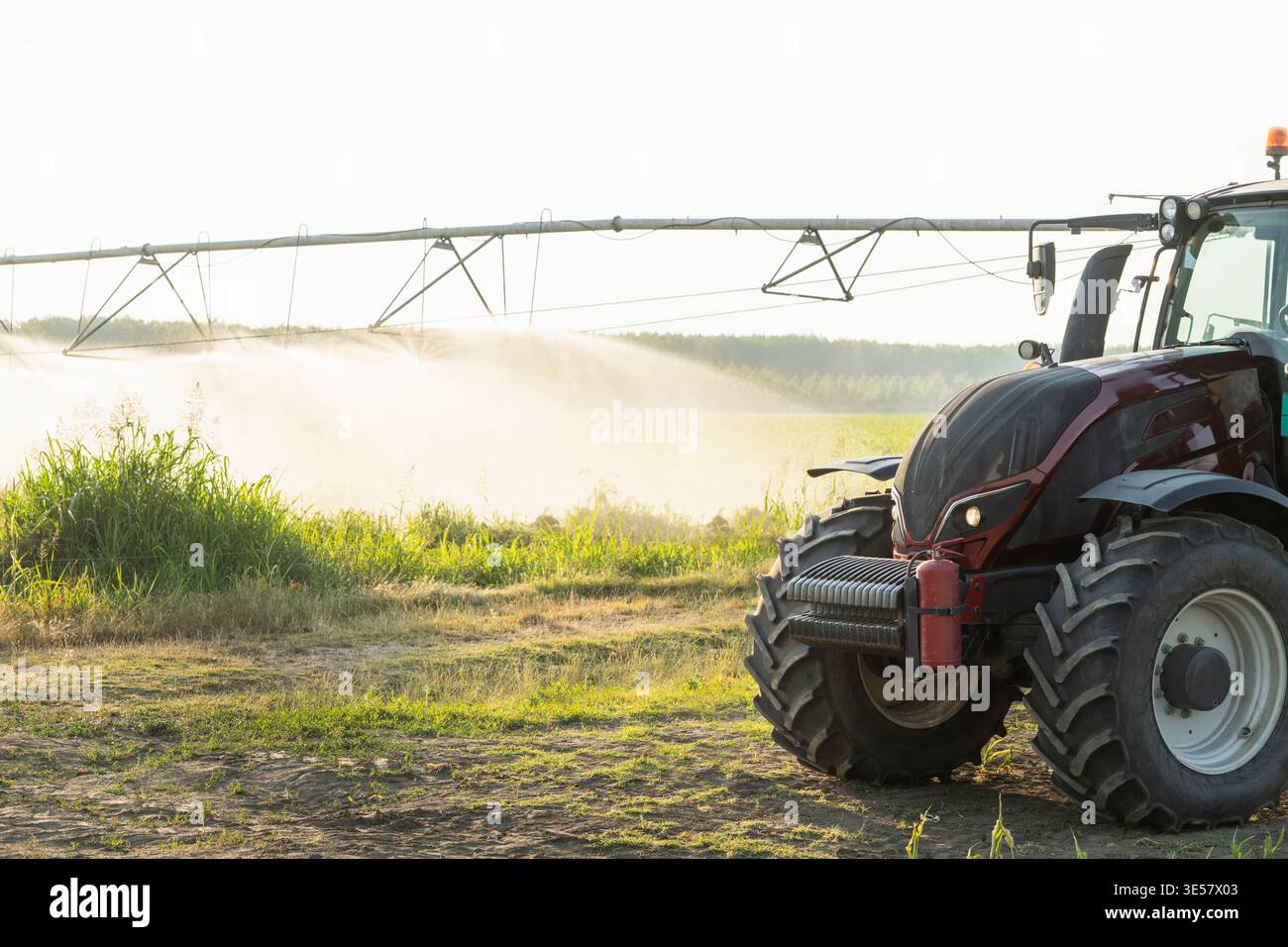 Traktor und landwirtschaftliche Bewässerung schwenken das Bewässerungssystem auf einem Maisfeld bei Sonnenuntergang. Stockfoto