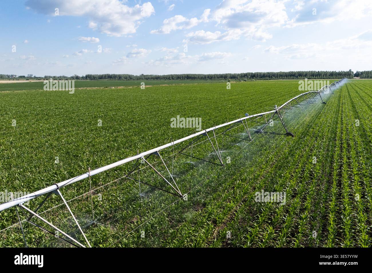 Luftaufnahme eines landwirtschaftlichen Bewässerungsdrehsystems auf einem Maisfeld Stockfoto