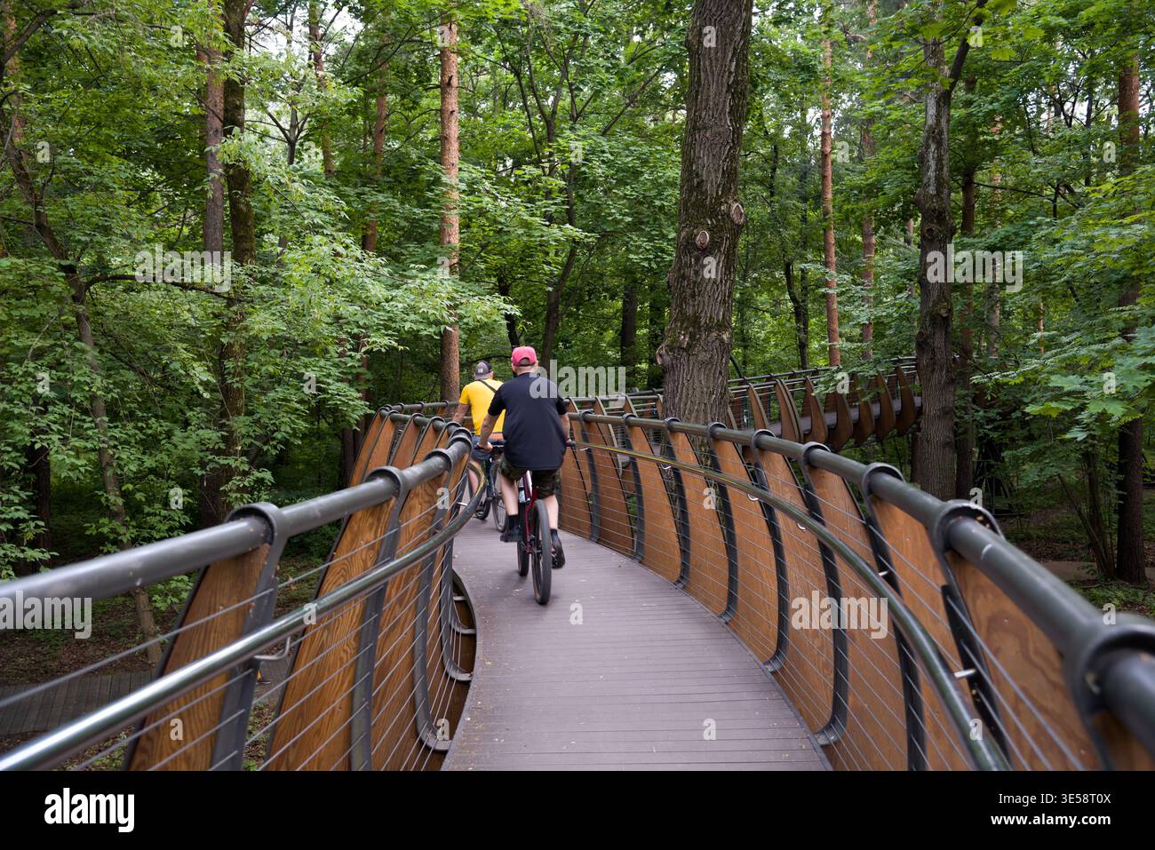 Radfahrer auf gekrümmtem Holzweg im Wald Stockfoto