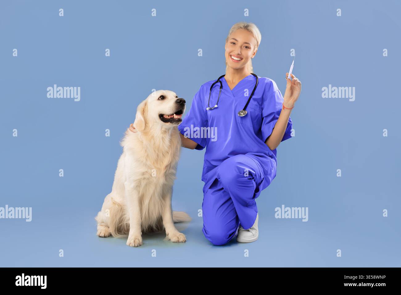 Tierarzt überprüft die Gesundheit des Hundes, während er eine Spritze in einer blauen Einstellung hält Stockfoto