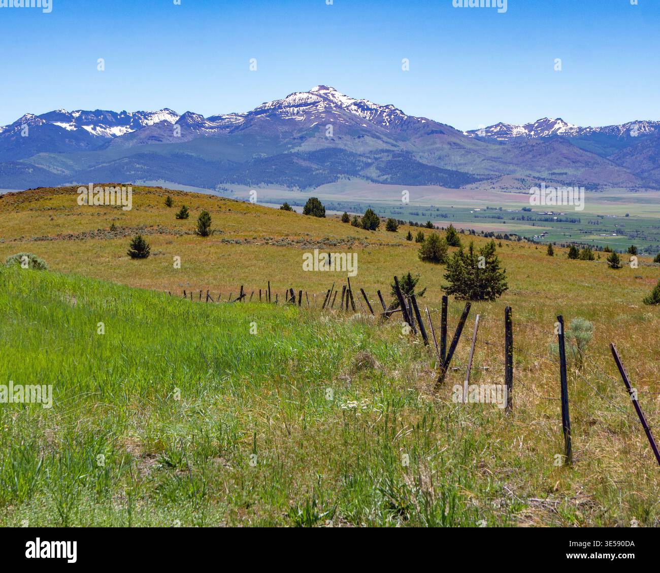 Rickety Fence unter den Strawberry Mountains im Osten Oregons. Ein verwitterter alter Zaun, der durch grünes Wiesengras und hügeliges Ranchland verläuft. Stockfoto
