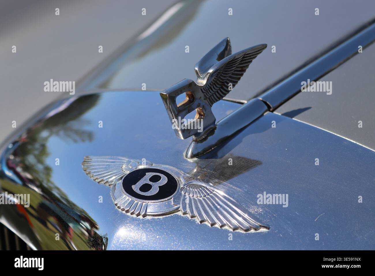 Das legendäre geflügelte Bentley Motors Kühlerabzeichen mit dem berühmten fliegenden „B“ Kühlermaskottchen, entworfen vom Künstler und Bildhauer F. Gordon Crosby. Stockfoto