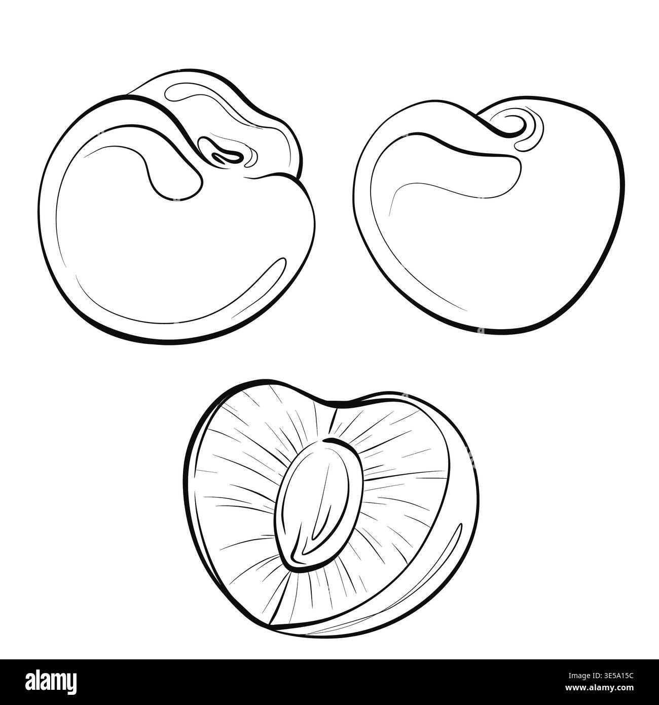 Kirschset ganz und geschnitten mit Grubenvektor, Schwarze und weiße Frucht Collection Line Art, Outline Clipart Elemente isoliert Stock Vektor