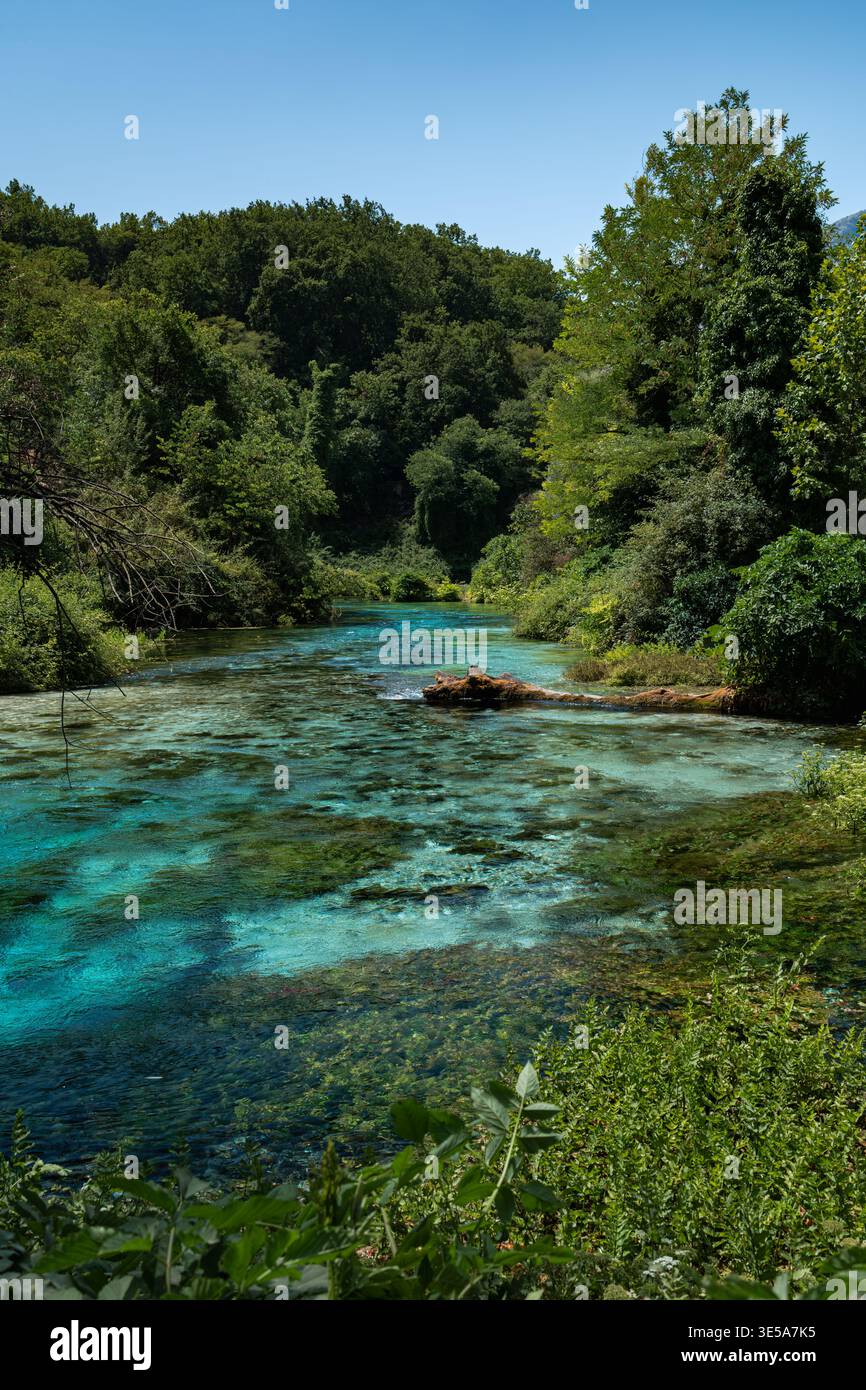 Kristallklares türkisfarbenes Quellwasser umgeben von üppigem Wald Stockfoto