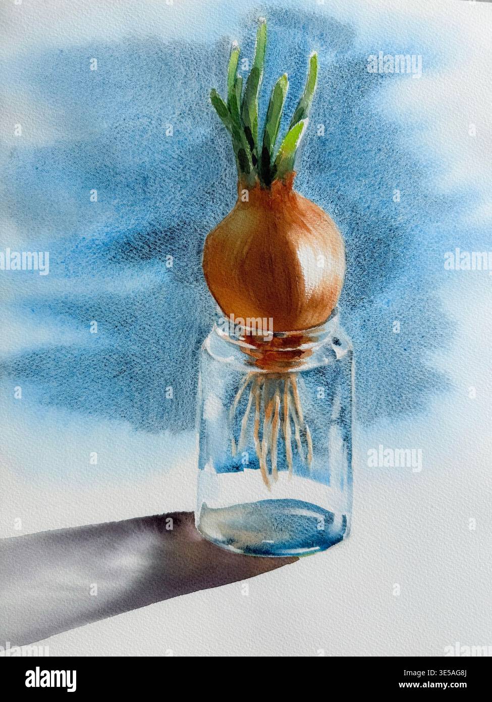 Eine Zwiebel in einer Glasflasche, realistisches Aquarellbild Stockfoto