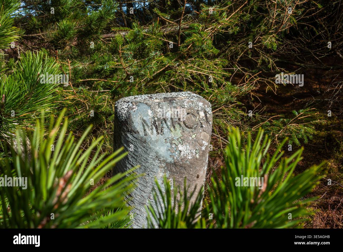Grenzsteinmarkierung mit der Aufschrift Marsch in der Nähe des Pfads zum Cairn Cattoch Hill im Elchies Forest bei Archiestown, Moray, Schottland Stockfoto