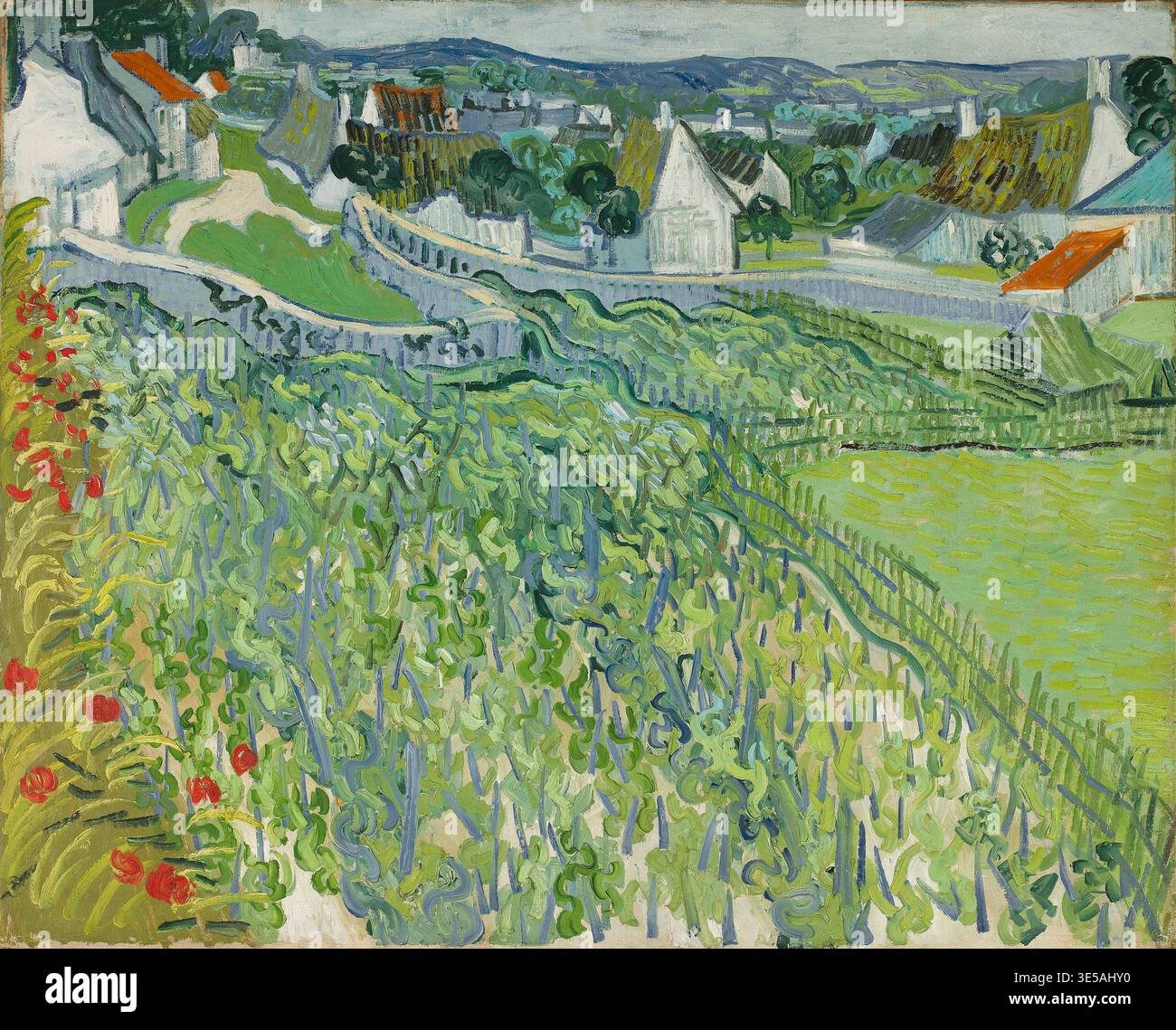 Vineyards at Auvers 1890, Weinberge in Auvers 1890, Gemälde von Vincent Willem van Gogh geb. 30. März 1853 in Groot-Zundert. 29. Juli 1890 in Au Stockfoto