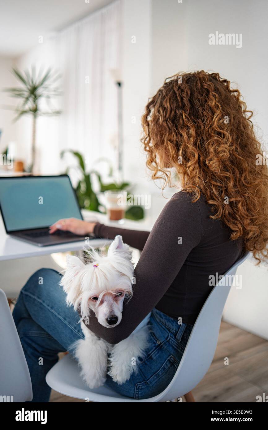 Frau, die zu Hause mit einem Hund am Laptop arbeitet Stockfoto